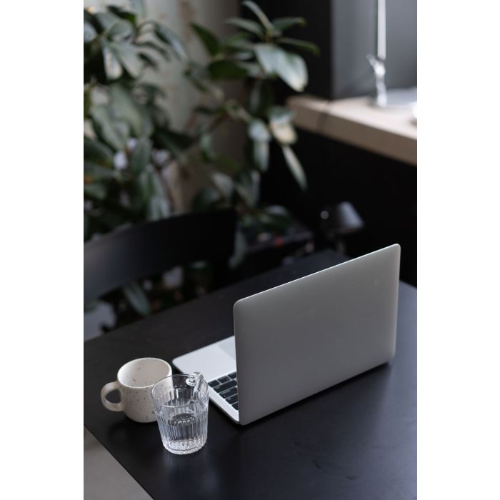 Laptop VortexX Pro